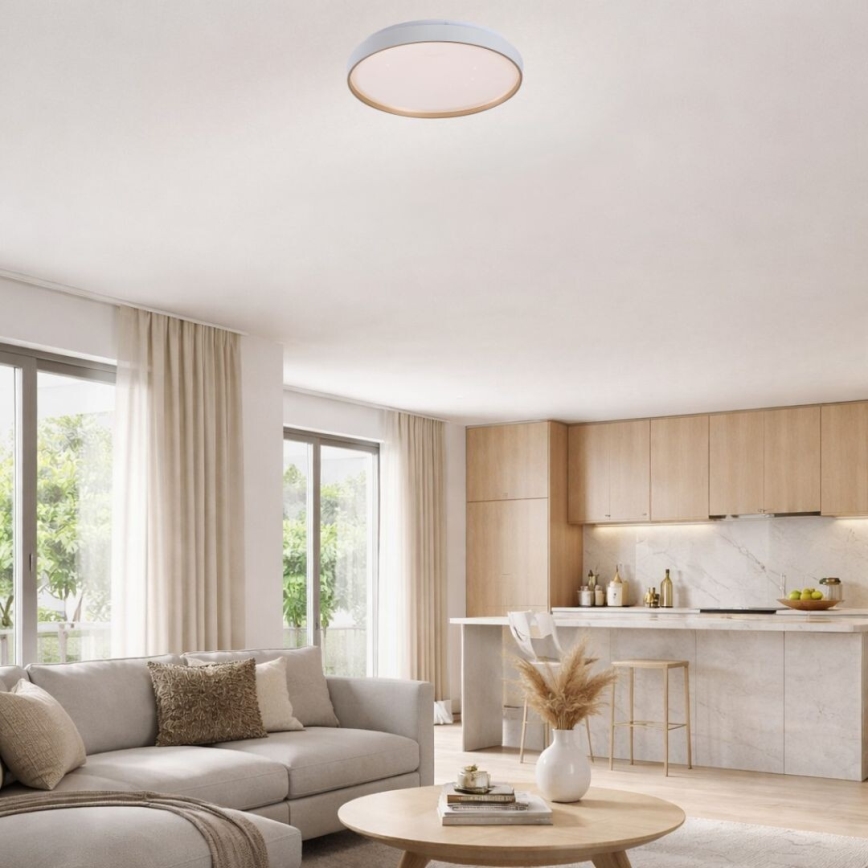 Rabalux - Himmennettävä LED-kattovalaisin LED/34W/230V 3000-6500K halkaisija 38 cm + kaukosäädin