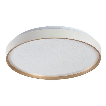 Rabalux - Himmennettävä LED-kattovalaisin LED/34W/230V 3000-6500K halkaisija 38 cm + kaukosäädin