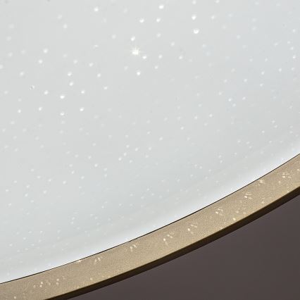 Rabalux - Himmennettävä LED-kattovalaisin LED/34W/230V 3000-6500K halkaisija 38 cm + kaukosäädin