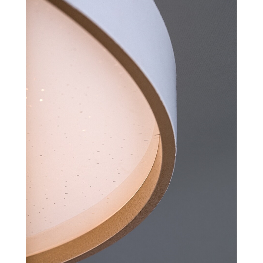 Rabalux - Himennettävä LED-kattovalaisin LED/60W/230V 3000-6500K Ø 58 cm + kaukosäädin