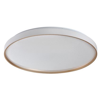 Rabalux - himmennettävä LED-kattovalaisin LED/80W/230V 3000-6500K halkaisija 77 cm + kaukosäädin