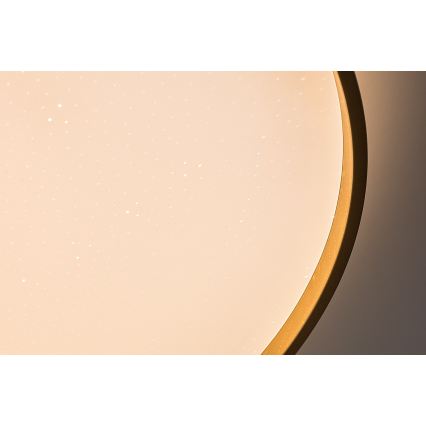 Rabalux - himmennettävä LED-kattovalaisin LED/80W/230V 3000-6500K halkaisija 77 cm + kaukosäädin