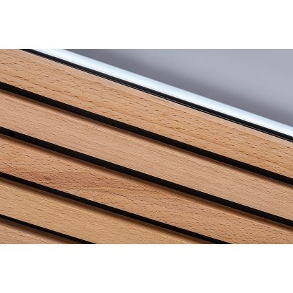Rabalux - LED-kattovalaisin LED/26W/230V 3000/4500/6000K