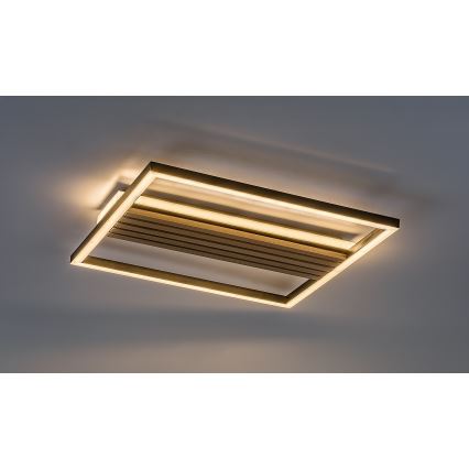Rabalux - LED-kattovalaisin LED/30W/230V 3000/4500/6000K