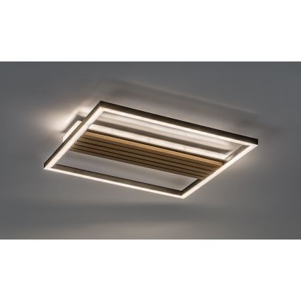 Rabalux - LED-kattovalaisin LED/30W/230V 3000/4500/6000K