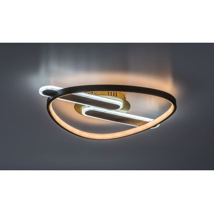 Rabalux - himmennettävä LED-kattovalaisin LED/60W/230V 3000-6000K 53x45 cm + kaukosäädin