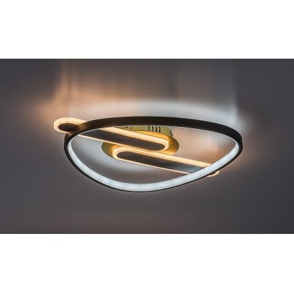 Rabalux - himmennettävä LED-kattovalaisin LED/60W/230V 3000-6000K 53x45 cm + kaukosäädin