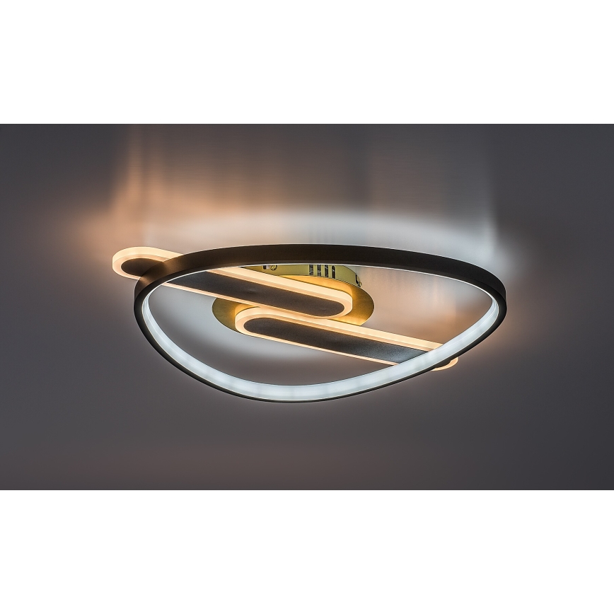 Rabalux - himmennettävä LED-kattovalaisin LED/60W/230V 3000-6000K 53x45 cm + kaukosäädin