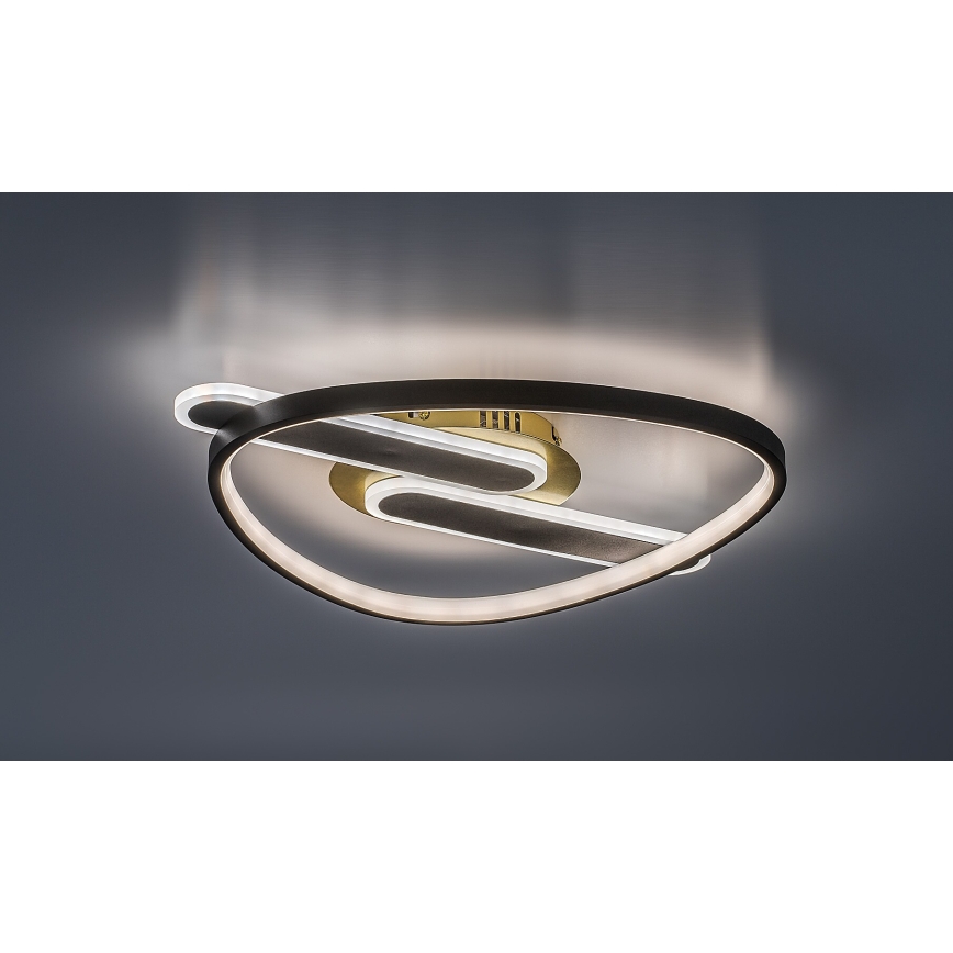 Rabalux - himmennettävä LED-kattovalaisin LED/60W/230V 3000-6000K 53x45 cm + kaukosäädin