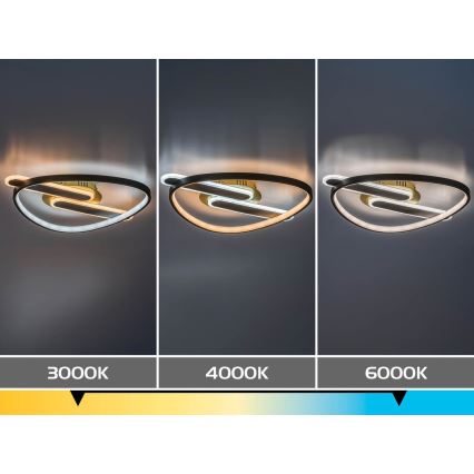 Rabalux - himmennettävä LED-kattovalaisin LED/60W/230V 3000-6000K 53x45 cm + kaukosäädin