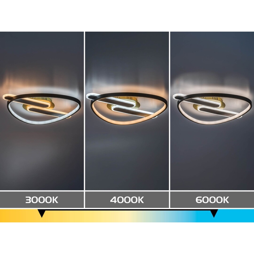 Rabalux - himmennettävä LED-kattovalaisin LED/60W/230V 3000-6000K 53x45 cm + kaukosäädin