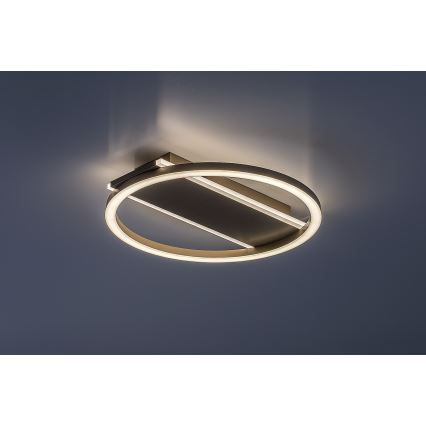Rabalux - LED-kattovalaisin LED/24W/230V Ø 33 cm
