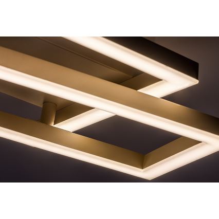 Rabalux - LED-kattovalaisin LED/24W/230V 37x22,5 cm