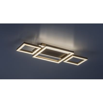 Rabalux - LED-kattovalaisin LED/24W/230V 51,5x22 cm