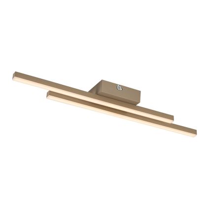Rabalux - LED-kattovalaisin LED/12W/230V 3000K beige
