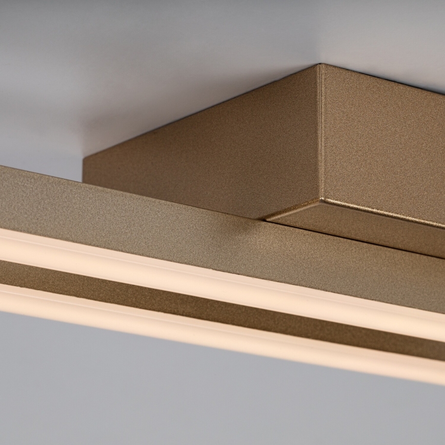 Rabalux - LED-kattovalaisin LED/12W/230V 3000K kullanvärinen