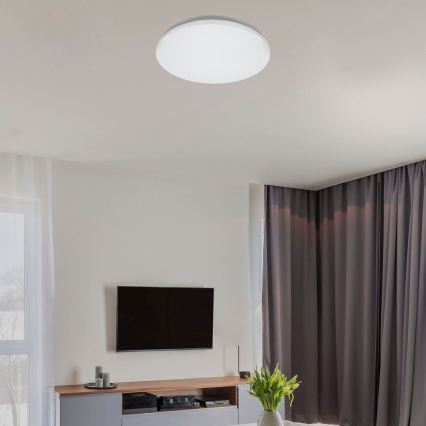 Rabalux - LED-kylpyhuoneen kattovalaisin LED/12W/230V IP44 4000K halkaisija 25,5 cm