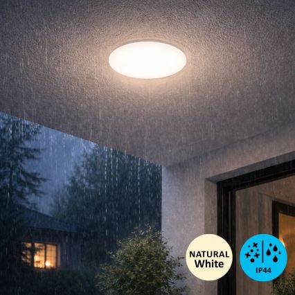 Rabalux - LED-kylpyhuoneen kattovalaisin LED/12W/230V IP44 4000K halkaisija 25,5 cm