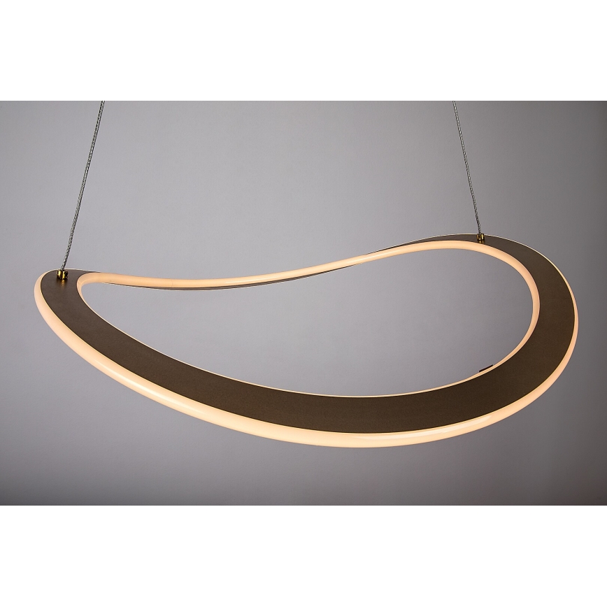 Rabalux - LED-riippuvalaisin vaijerilla LED/40W/230V 3000K