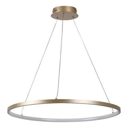 Rabalux - LED-riippuvalaisin kaapelilla LED/55W/230V 3000K