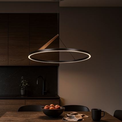 Rabalux - LED-riippuvalaisin vaijerilla LED/40W/230V 3000K