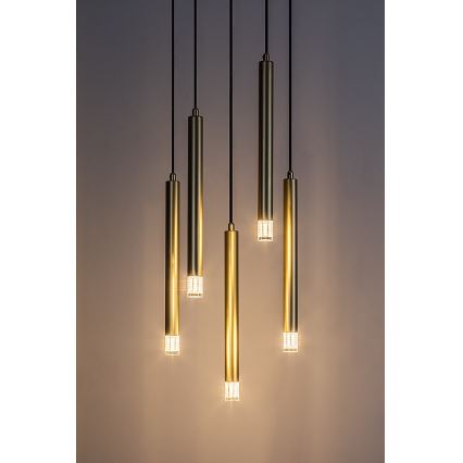 Rabalux - Kattokruunu johdossa 5xG9/5W/230V kulta