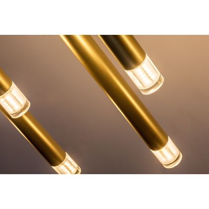 Rabalux - Kattokruunu johdossa 10xG9/5W/230V kulta