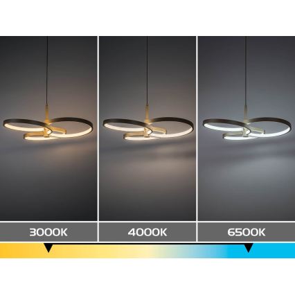 Rabalux - LED himmennettävä riippuvalaisin vaijerilla LED/50W/230V 3000-6500K + kaukosäädin