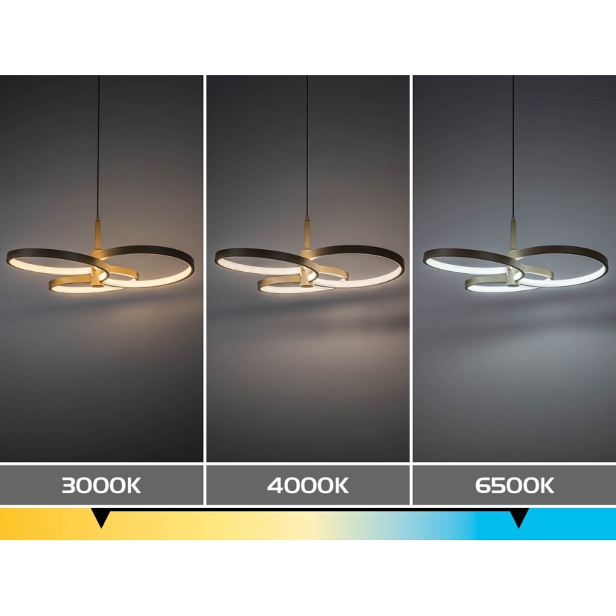 Rabalux - LED himmennettävä riippuvalaisin vaijerilla LED/50W/230V 3000-6500K + kaukosäädin