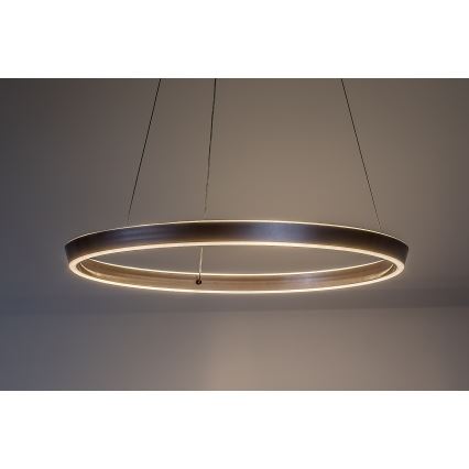 Rabalux - himmennettävä LED-riippuvalaisin vaijerilla LED/70W/230V 3000-6500K + kaukosäädin