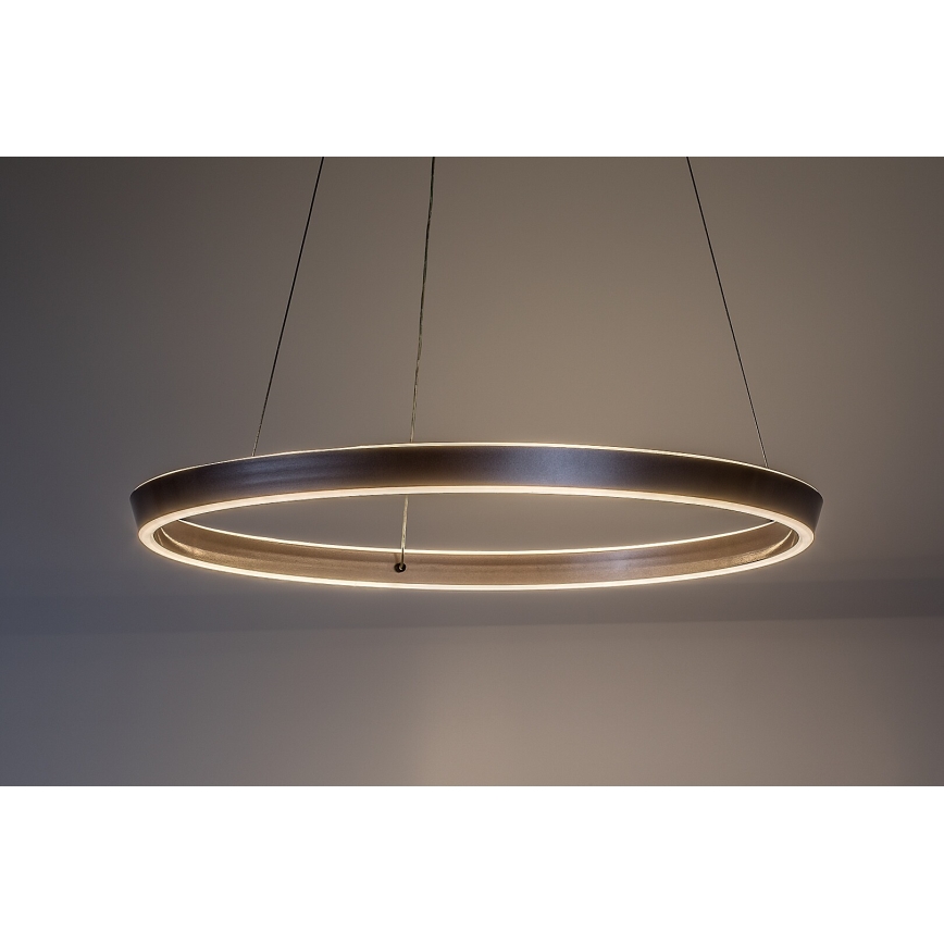 Rabalux - himmennettävä LED-riippuvalaisin vaijerilla LED/70W/230V 3000-6500K + kaukosäädin