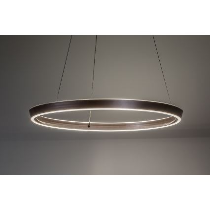 Rabalux - himmennettävä LED-riippuvalaisin vaijerilla LED/70W/230V 3000-6500K + kaukosäädin
