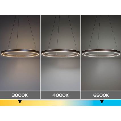 Rabalux - himmennettävä LED-riippuvalaisin vaijerilla LED/70W/230V 3000-6500K + kaukosäädin