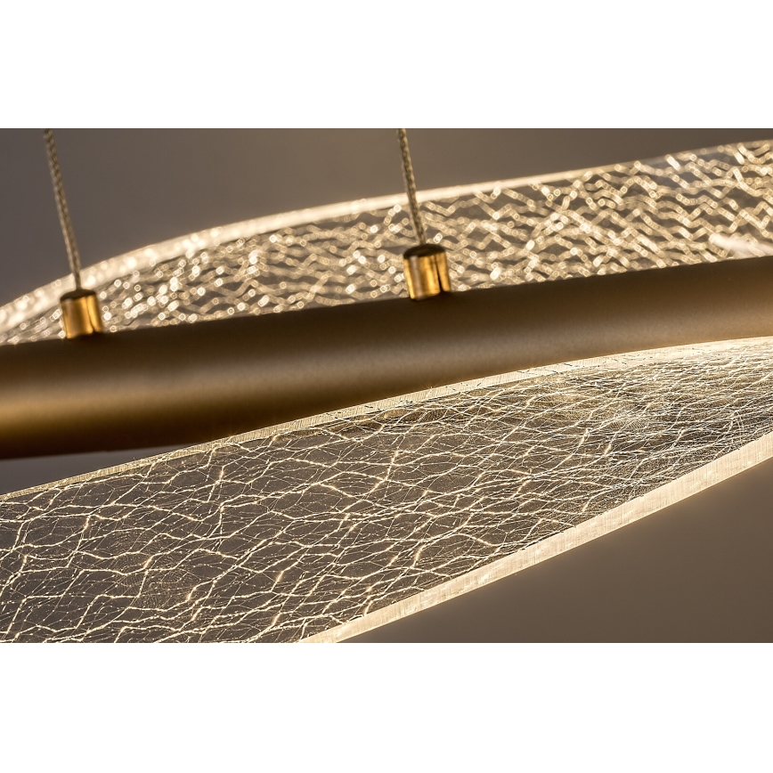 Rabalux - LED-riippuvalaisin vaijerilla LED/24W/230V 3000K