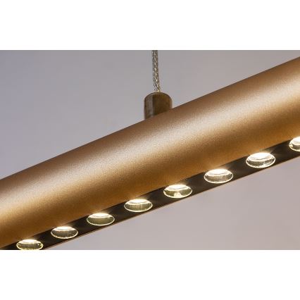 Rabalux - LED-riippuvalaisin vaijerilla LED/24W/230V 3000K