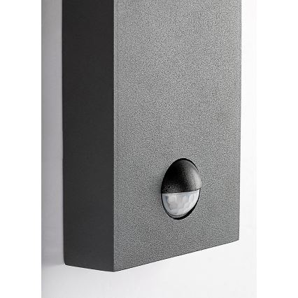 Rabalux - Ulkoseinävalaisin liiketunnistimella 1xE27/40W/230V IP44