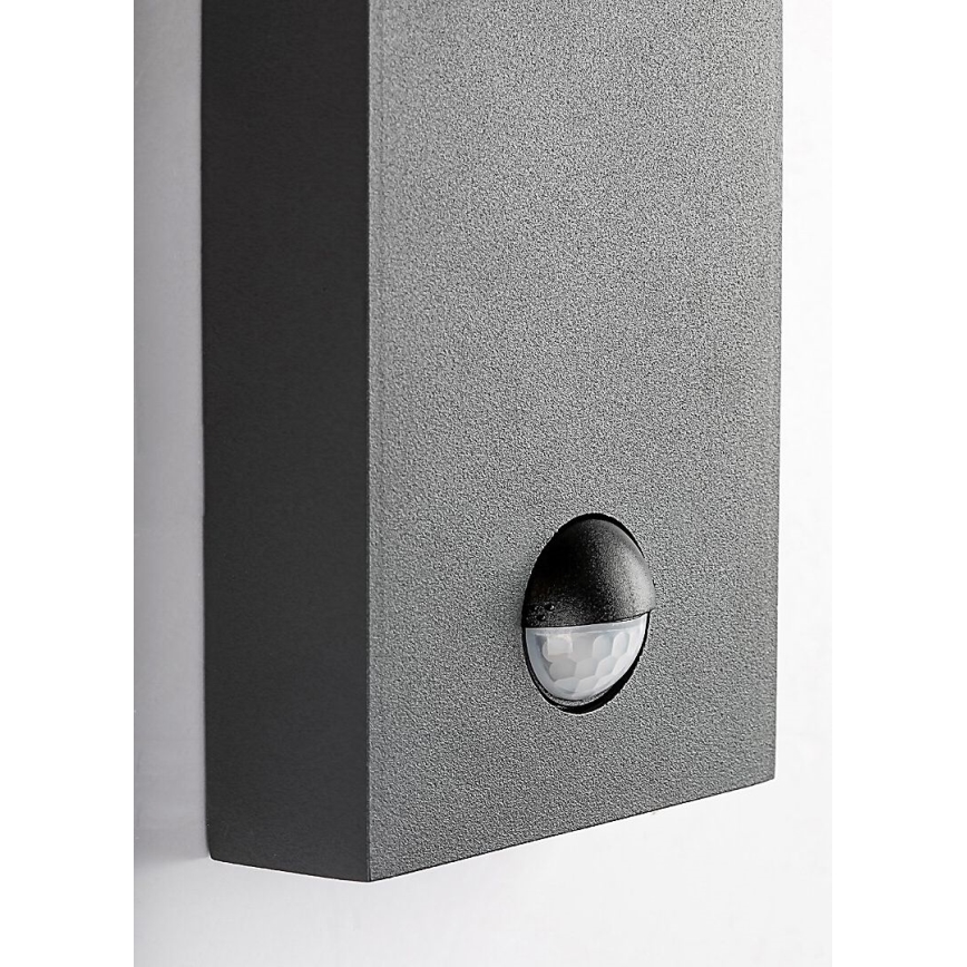 Rabalux - Ulkoseinävalaisin liiketunnistimella 1xE27/40W/230V IP44