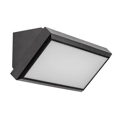 Rabalux - LED ulkoseinävalaisin LED/12W/230V IP54