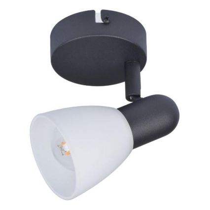 Rabalux - Kohdevalaisin 1xE14/40W/230V