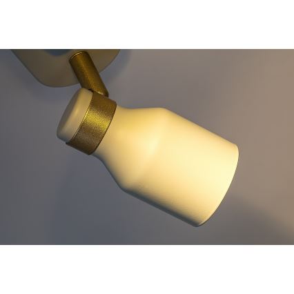 Rabalux - Spottivalaisin 2xGU10/15W/230V