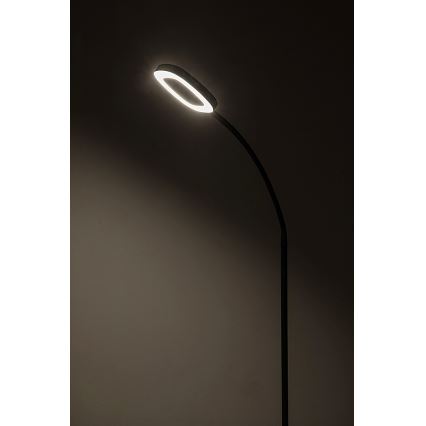 Rabalux - LED himmennettävä kosketusjalustavalaisin LED/11W/230V 3000K