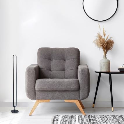 Rabalux - LED RGB himmennettävä lattialamppu LED/19W/230V + kauko-ohjaus