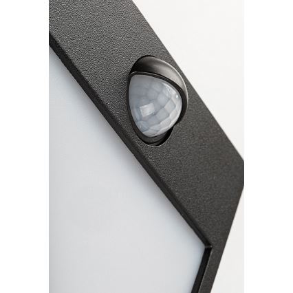 Rabalux - LED Ulkoseinävalo sensorilla LED/12W/230V musta IP44