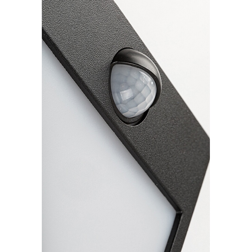 Rabalux - LED Ulkoseinävalo sensorilla LED/12W/230V musta IP44