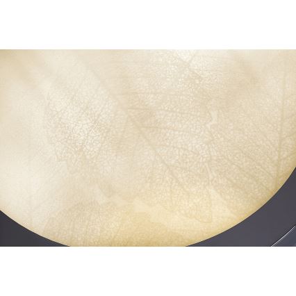 Rabalux - Kylpyhuoneen kattovalaisin 2xE27/40W/230V IP44 Ø 30 cm