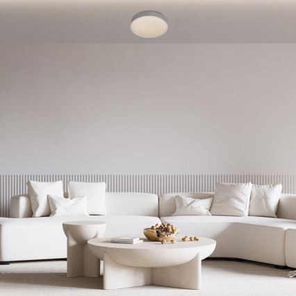 Rabalux - LED-kattovalaisin LED/18W/230V IP44 4000K hopea Ø 28 cm