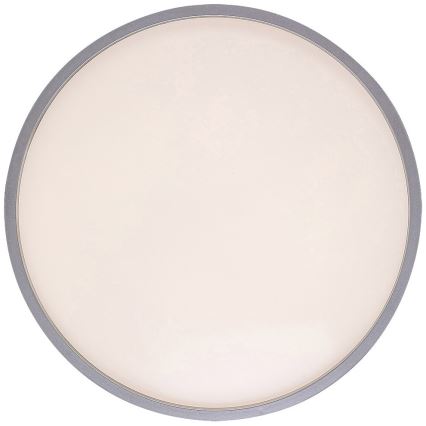 Rabalux - LED-kattovalaisin LED/18W/230V IP44 4000K hopea Ø 28 cm