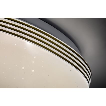 Rabalux - LED-kylpyhuoneen kattovalaisin LED/18W/230V IP44 Ø 34 cm