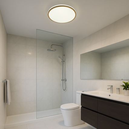 Rabalux - LED-kylpyhuoneen kattovalaisin LED/18W/230V IP44 halkaisija 34 cm