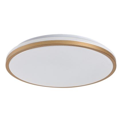 Rabalux - LED-kylpyhuoneen kattovalaisin LED/18W/230V IP44 halkaisija 34 cm